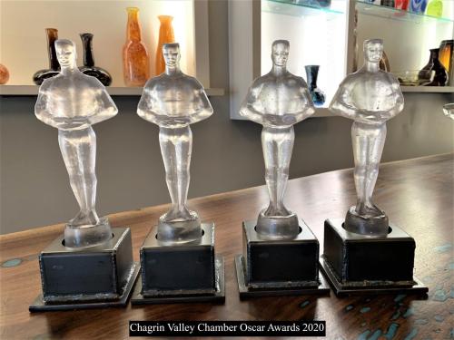 Oscar Awards - Chagrin Valley Chamber of Commerce 2020