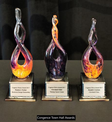 Flame Twist Award - Cogence Town Hall Awards